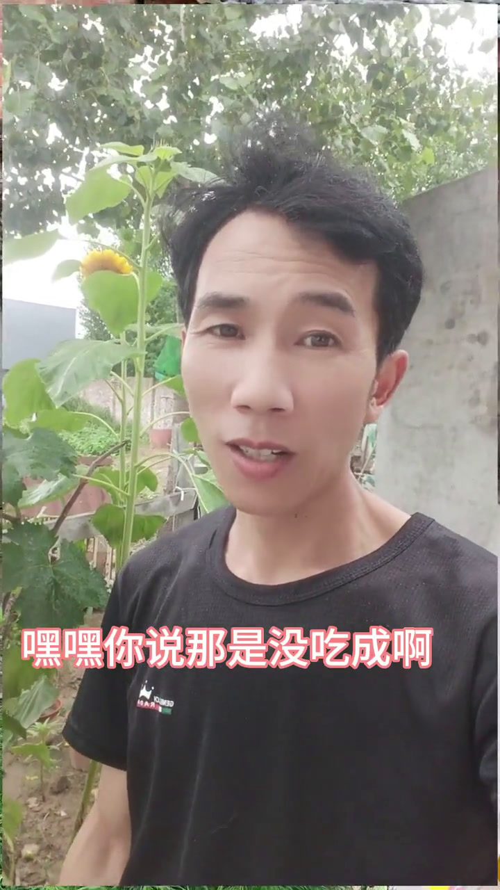 语录搞笑合拍视频素材下载-语录搞笑合拍视频素材下载网站