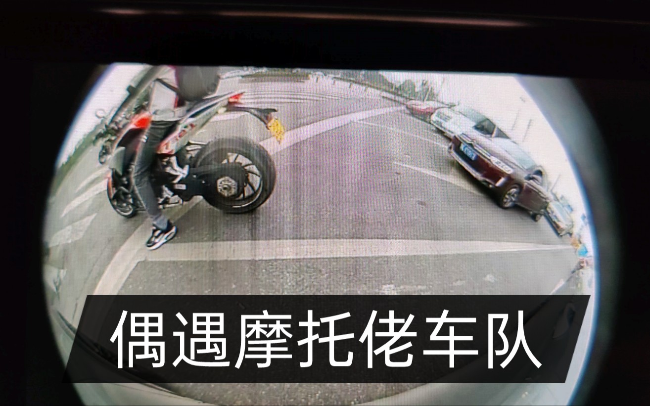 偶遇车队北京老板视频下载(偶遇车队北京老板视频下载观看)