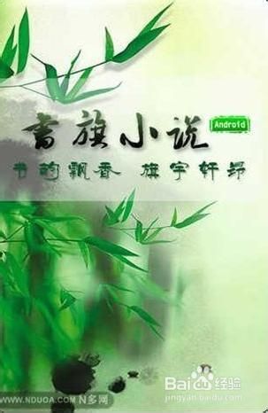 书旗小说app下载-(书旗小说官网入口网页版免费阅读)